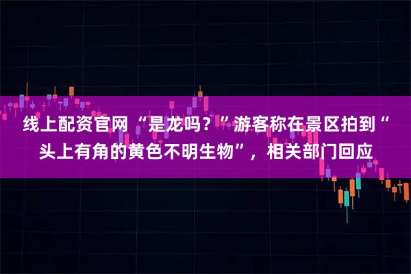 线上配资官网 “是龙吗？”游客称在景区拍到“头上有角的黄色不明生物”，相关部门回应