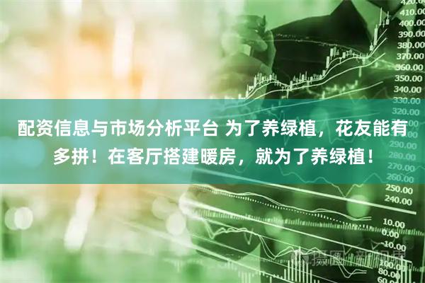 配资信息与市场分析平台 为了养绿植，花友能有多拼！在客厅搭建暖房，就为了养绿植！