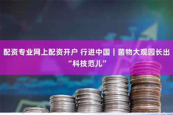 配资专业网上配资开户 行进中国｜菌物大观园长出“科技范儿”